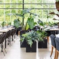 Умный вазон Lechuza Canto Stone 40 low 29 л кварцевый белый 13727