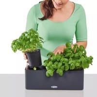 Умный вазон Lechuza Cube Color Triple 40 песочно-коричневый 13686