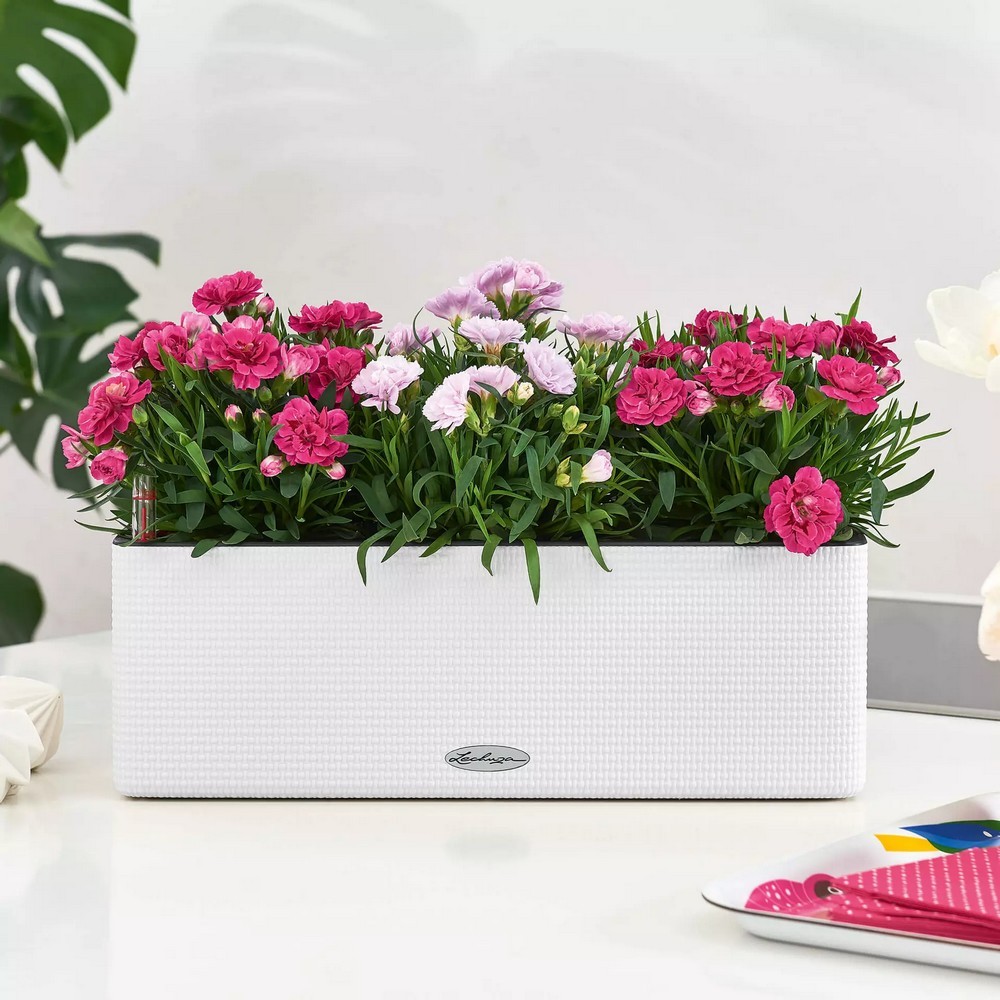 Умный вазон Lechuza Cube Color Triple 40 песочно-коричневый 13686