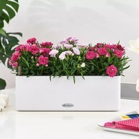 Умный вазон Lechuza Cube Color Triple 40 песочно-коричневый 13686