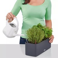 Умный вазон Lechuza Cube Color Triple 40 песочно-коричневый 13686