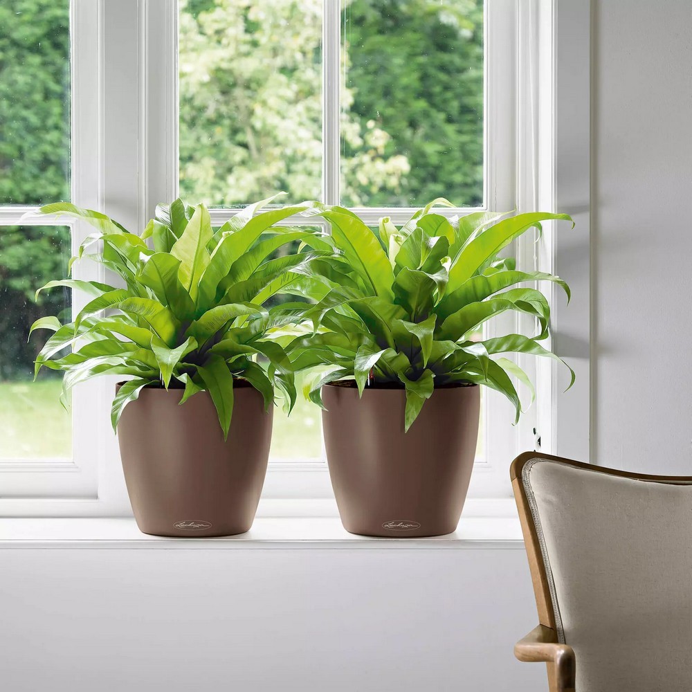 Умный вазон Lechuza Classico Color 60 17 л белый 13330