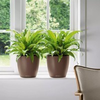 Умный вазон Lechuza Classico Color 60 17 л белый 13330