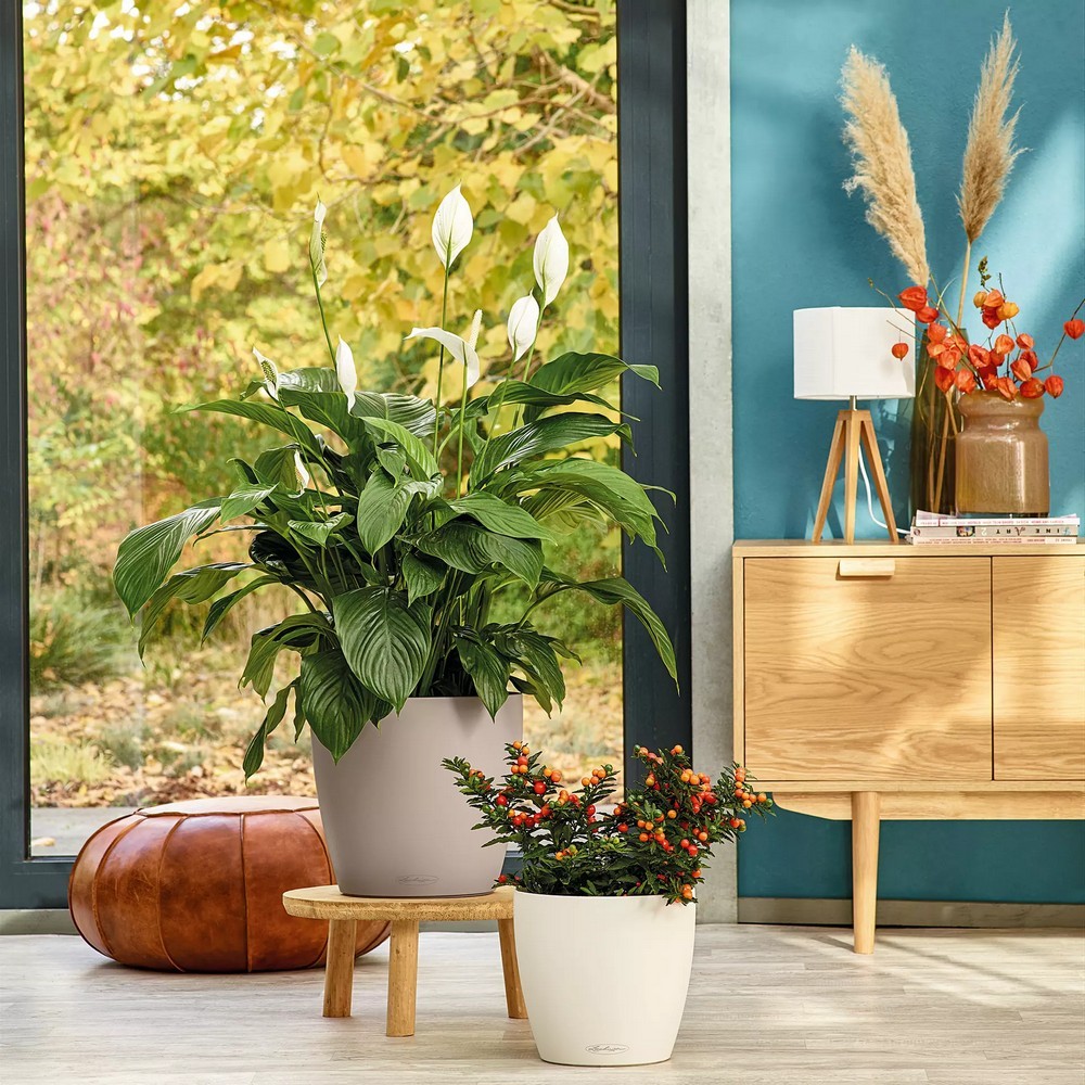 Умный вазон Lechuza Classico Color 60 17 л серый 13334