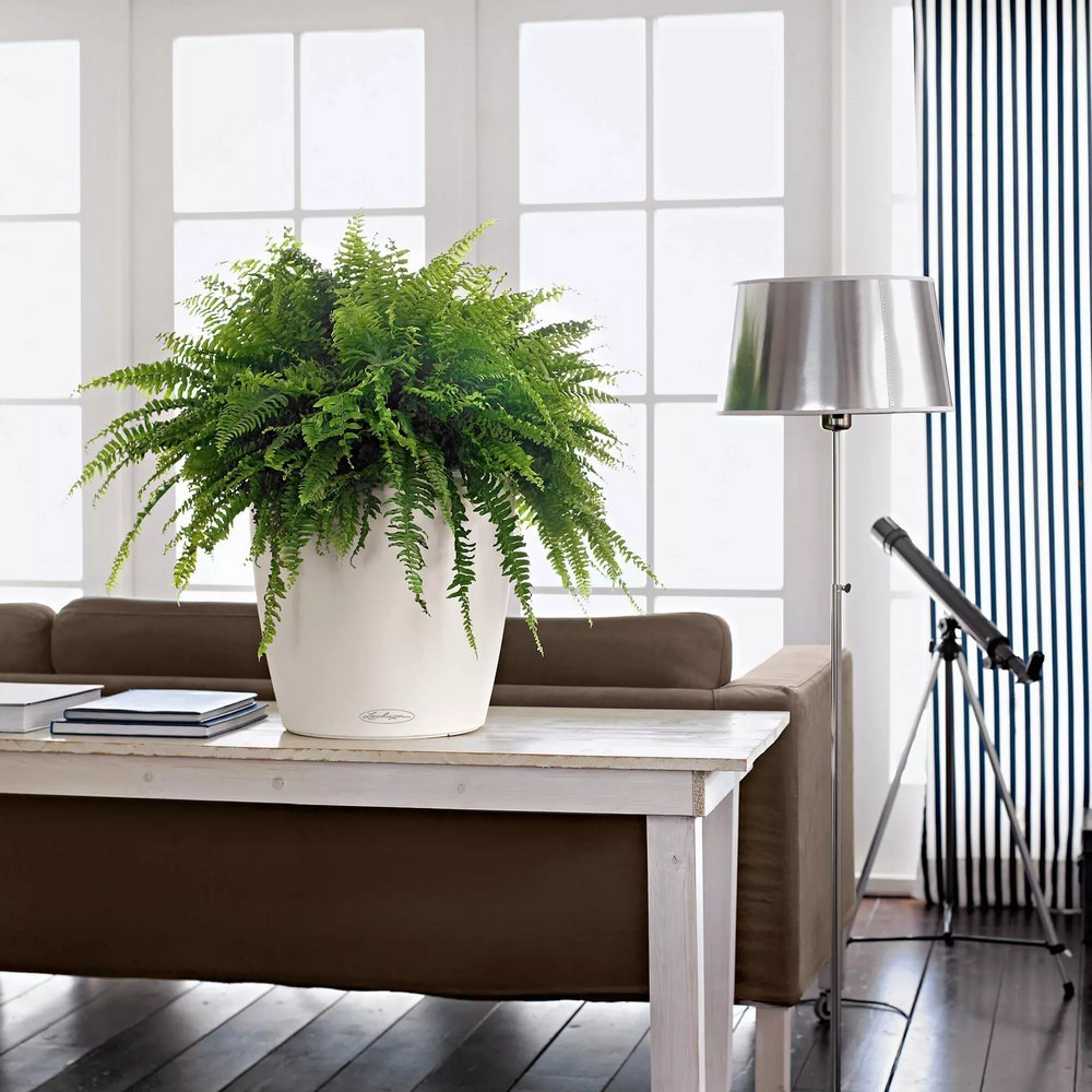 Умный вазон Lechuza Classico Color 70 26,5 л белый 13420