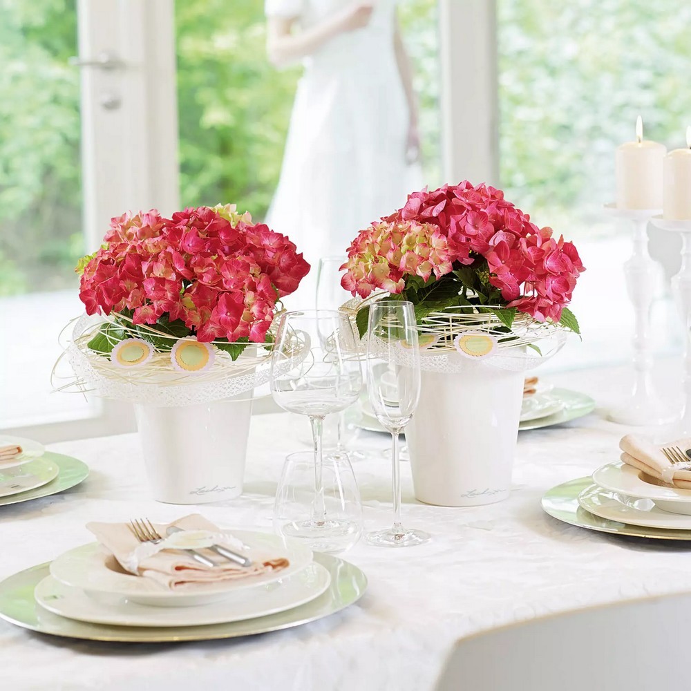 Умный вазон Lechuza Дельтини 0,4 л зеленый 14935