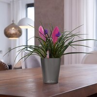 Умный вазон Lechuza Дельтини 0,4 л зеленый 14935