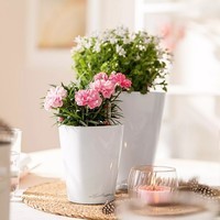 Умный вазон Lechuza Дельтини 0,4 л зеленый 14935