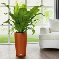 Кашпо Lechuza Cilindro Color 23 5,5 л 13948