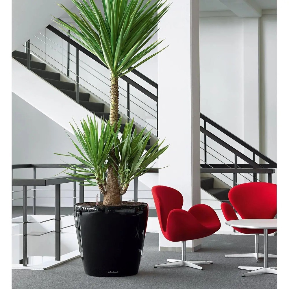 Кашпо Lechuza Classico Premium 60 All-in-One 90 л 14563