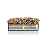 Кашпо Lechuza Balconera Color 80 12 л 15706