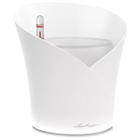 Фото Кашпо Lechuza Orchidea 1 л 13965