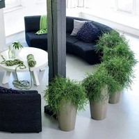 Кашпо Lechuza Rondo 32 белое матовое 15786