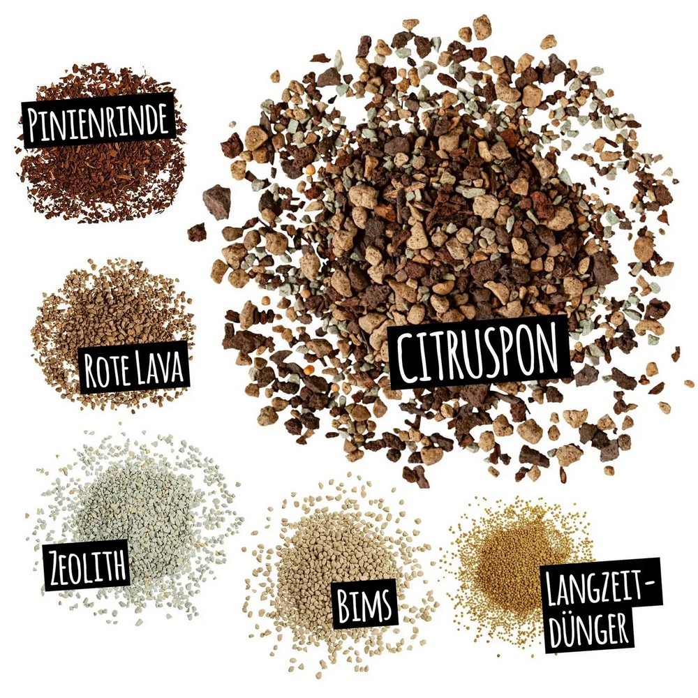 Субстрат Lechuza для цитрусовых Citrus PON 12 л 19540