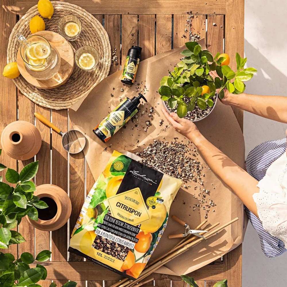 Субстрат Lechuza для цитрусовых Citrus PON 12 л 19540