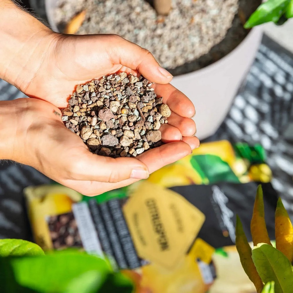 Субстрат Lechuza для цитрусовых Citrus PON 12 л 19540