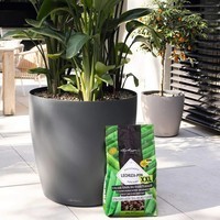 Фото Субстрат Lechuza для больших растений PON XXL 25 л 19542