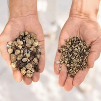 Субстрат Lechuza для больших растений PON XXL 25 л 19542