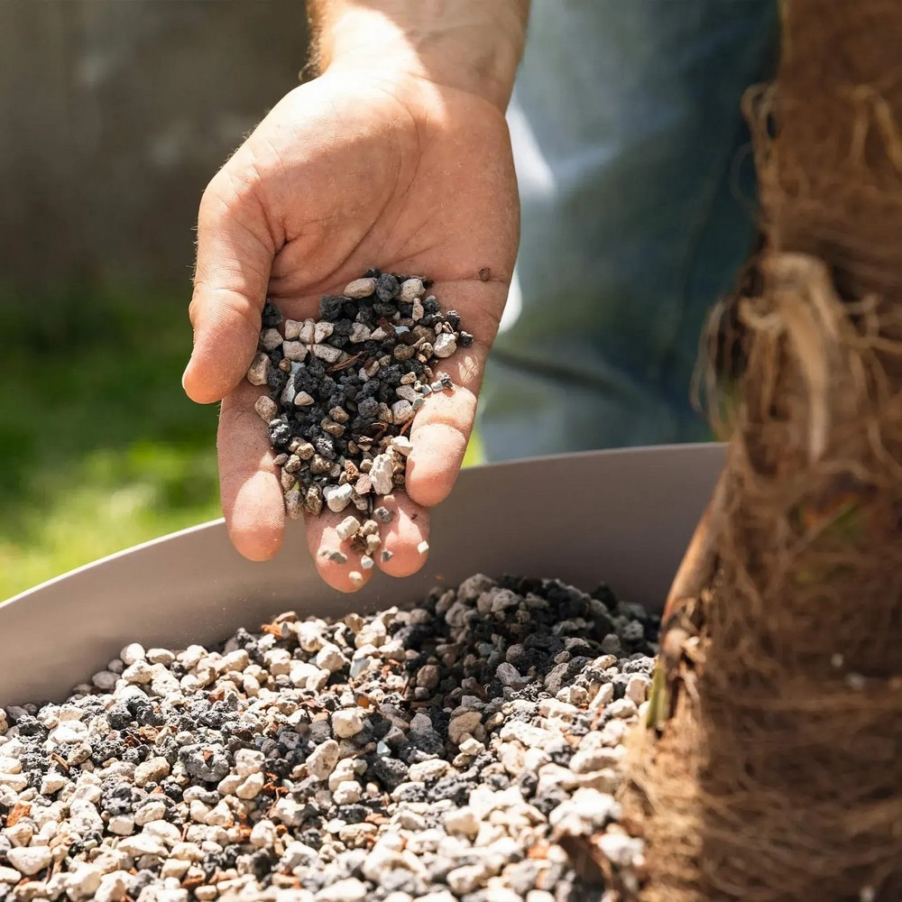 Субстрат Lechuza для зеленый и пальм Palm PON 12 л 19543