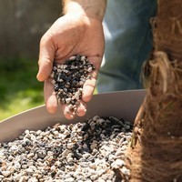 Субстрат Lechuza для зеленый и пальм Palm PON 12 л 19543