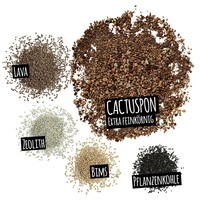 Фото Субстрат Lechuza для кактусов Cactus PON 3 л 19545