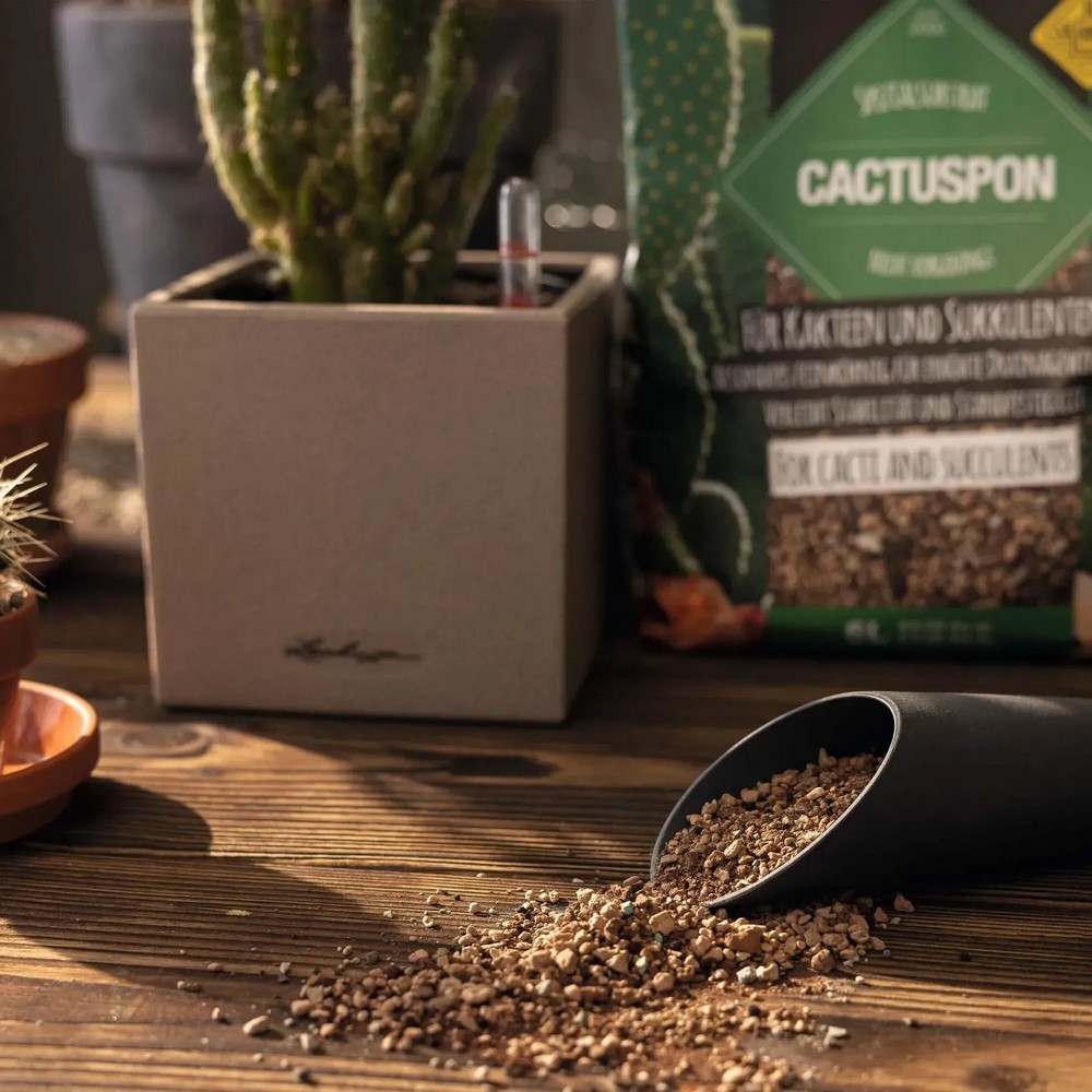 Субстрат Lechuza для кактусов Cactus PON 3 л 19545