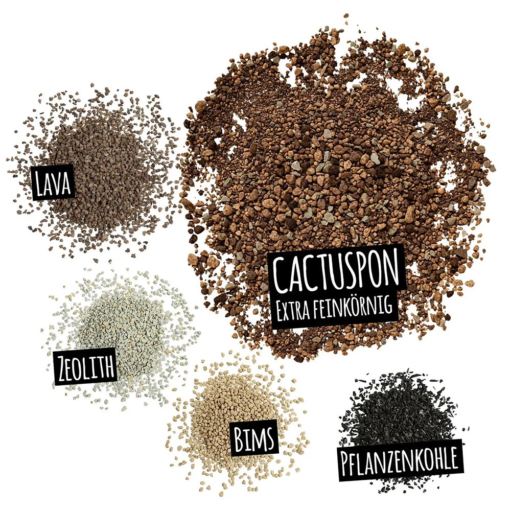 Субстрат Lechuza для кактусов Cactus PON 6 л 19546