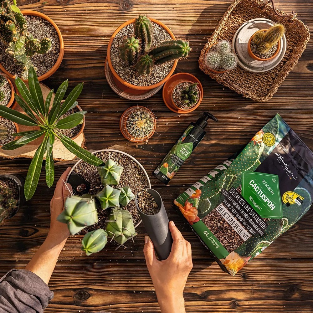 Субстрат Lechuza для кактусов Cactus PON 6 л 19546