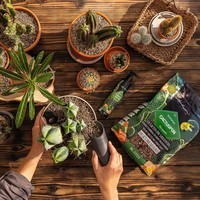 Субстрат Lechuza для кактусов Cactus PON 6 л 19546