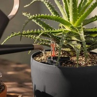 Субстрат Lechuza Basic PON 20 л 19554