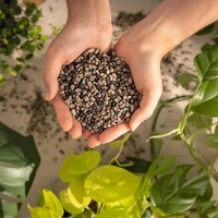 Субстрат Lechuza PON 30 л 19565