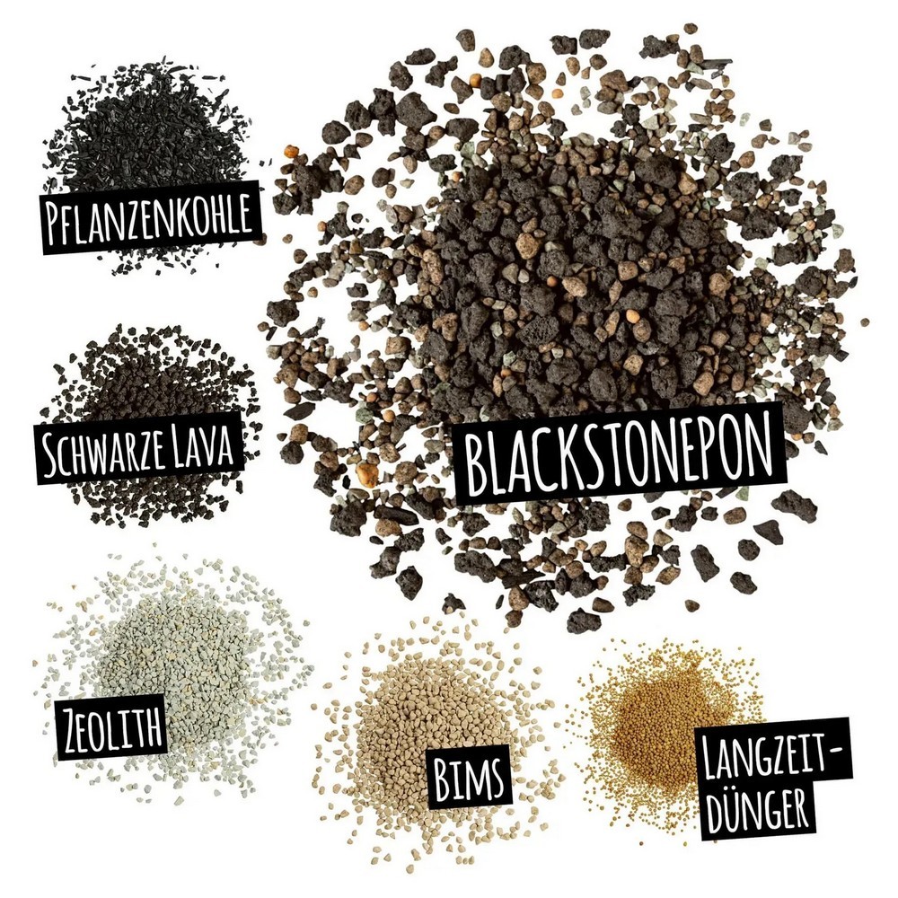 Субстрат Lechuza с биоуглем BLACKSTONE PON 6 л 19555