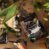 Фото Субстрат Lechuza с биоуглем BLACKSTONE PON 12 л 19556