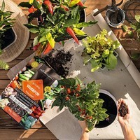 Фото Субстрат Lechuza для овощей VEGGIE-PON 6 л 19591